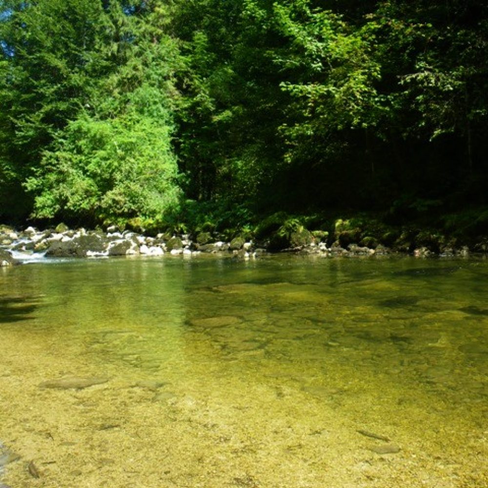 rivieres bienne Jura-Gîte Échappée